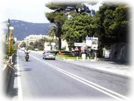 aurelia road